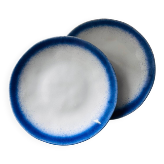 Pair of gradient blue plates