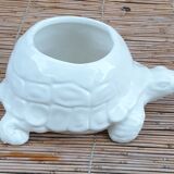 Turtle pot cache