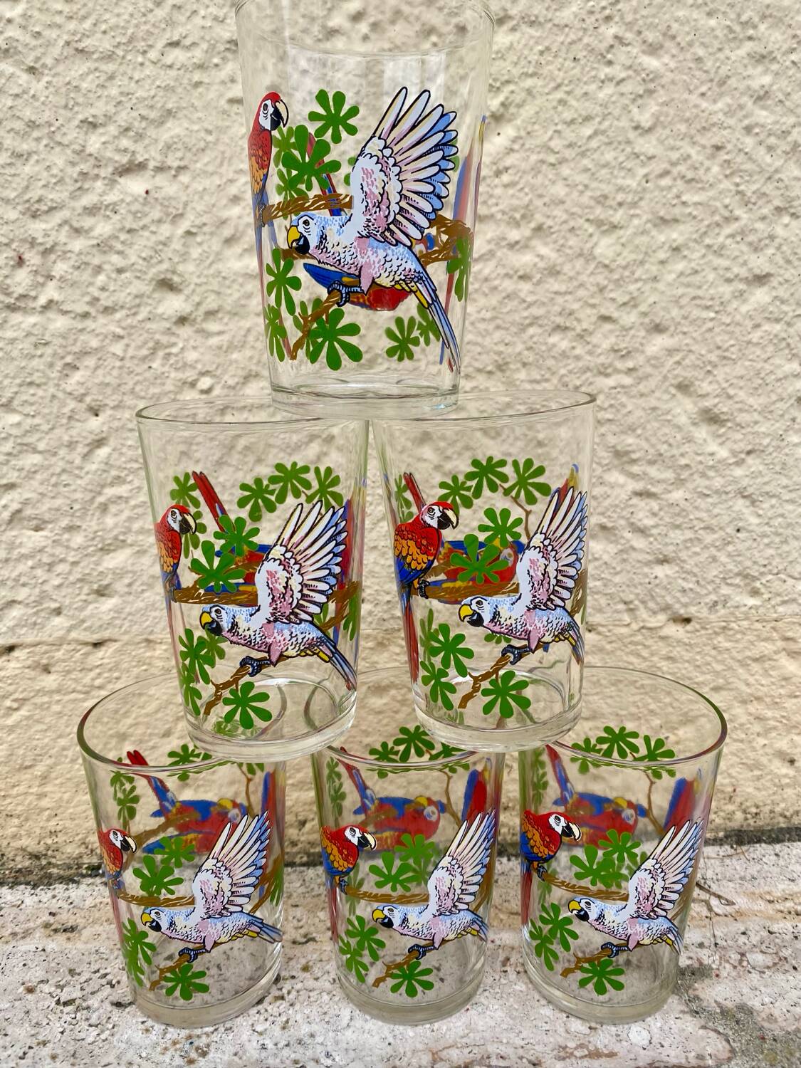 Six vintage parakeet glasses