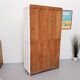 Armoire parisienne vintage 1950