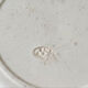 Lot de 4 belles assiettes plates en terre de fer