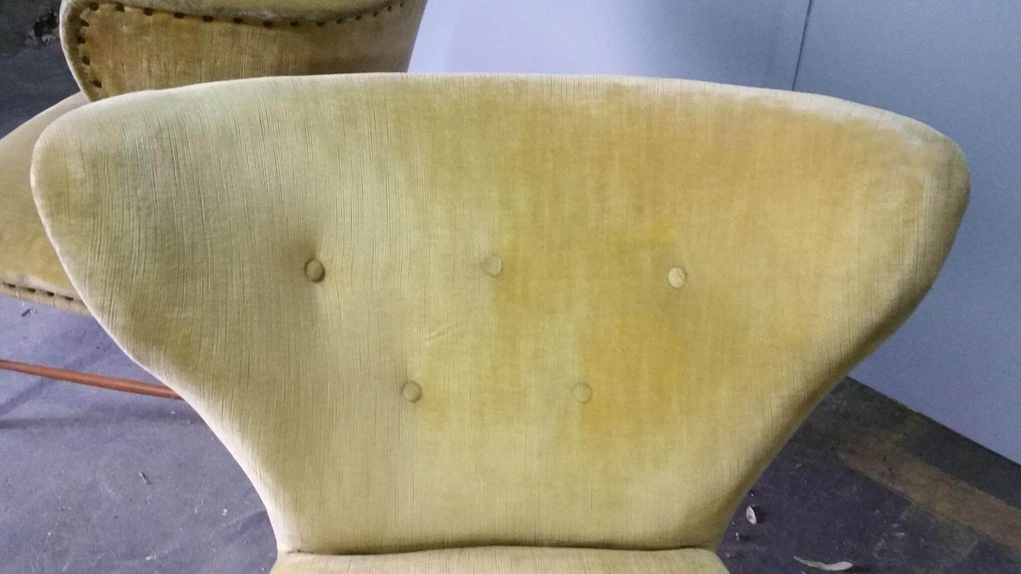 Yellow green trio of drivers at Danish flesh wing ears Elias Svedberg years 50/60