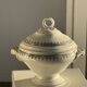 Covered soup tureen or vegetable dish in Saint Amand earthenware H29 D28