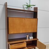 Shelf wall cabinet secretary