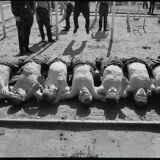 Silver photo baryta paper black and white ilford 310g military 19170 40x60cm