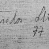 Charcoal on paper by Granados Llimona, 1977.