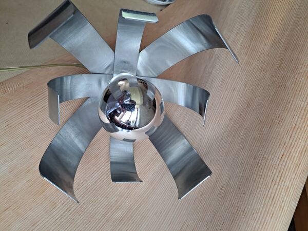 Fleur de lumiere  Joceline Trocmé