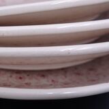 Set of 9 dessert plates in earthenware of Sarreguemines - Décor of pink flowers - 1970