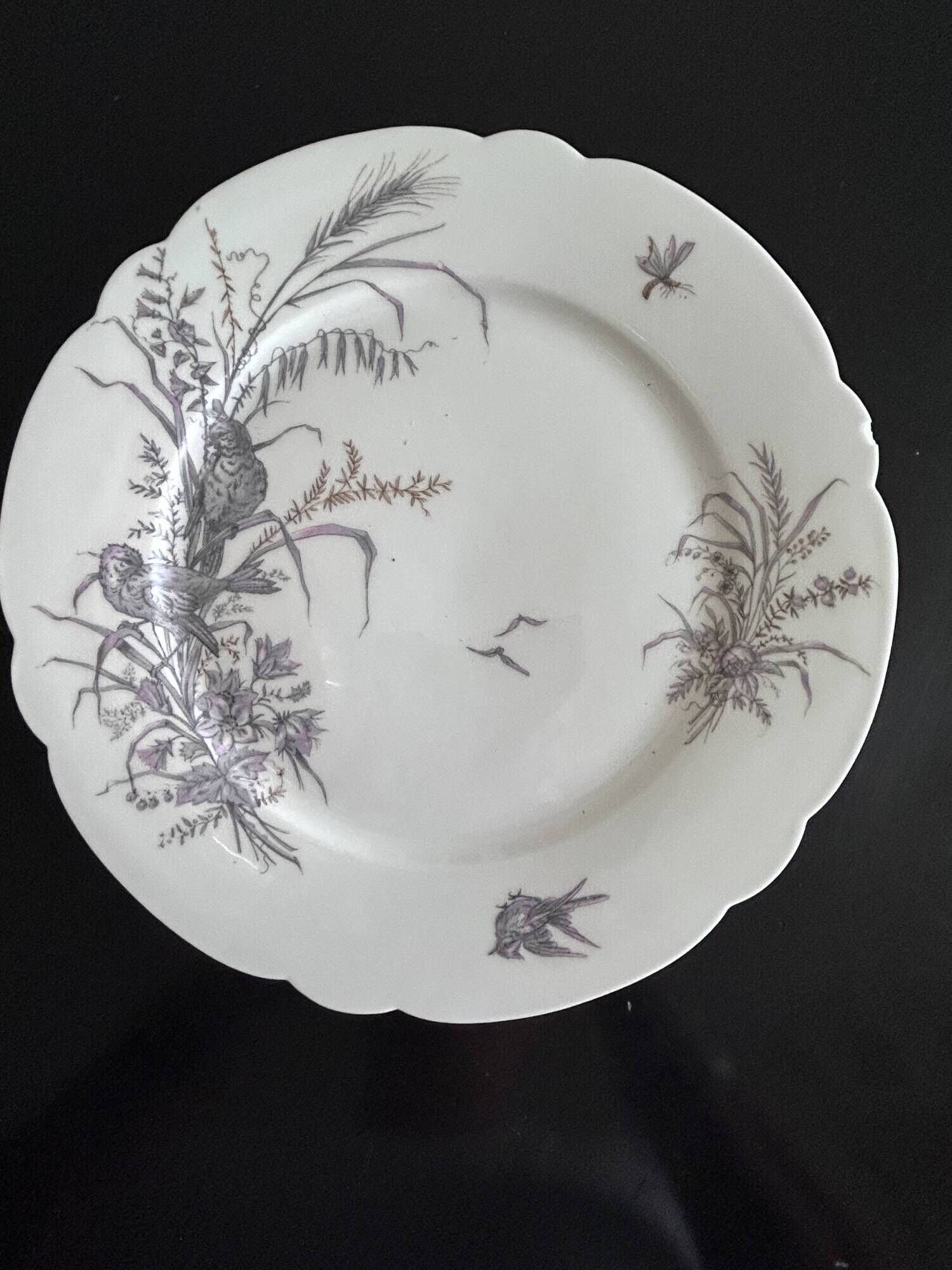 8 porcelain plates and 1 dish CH Pillivuyt & Cie