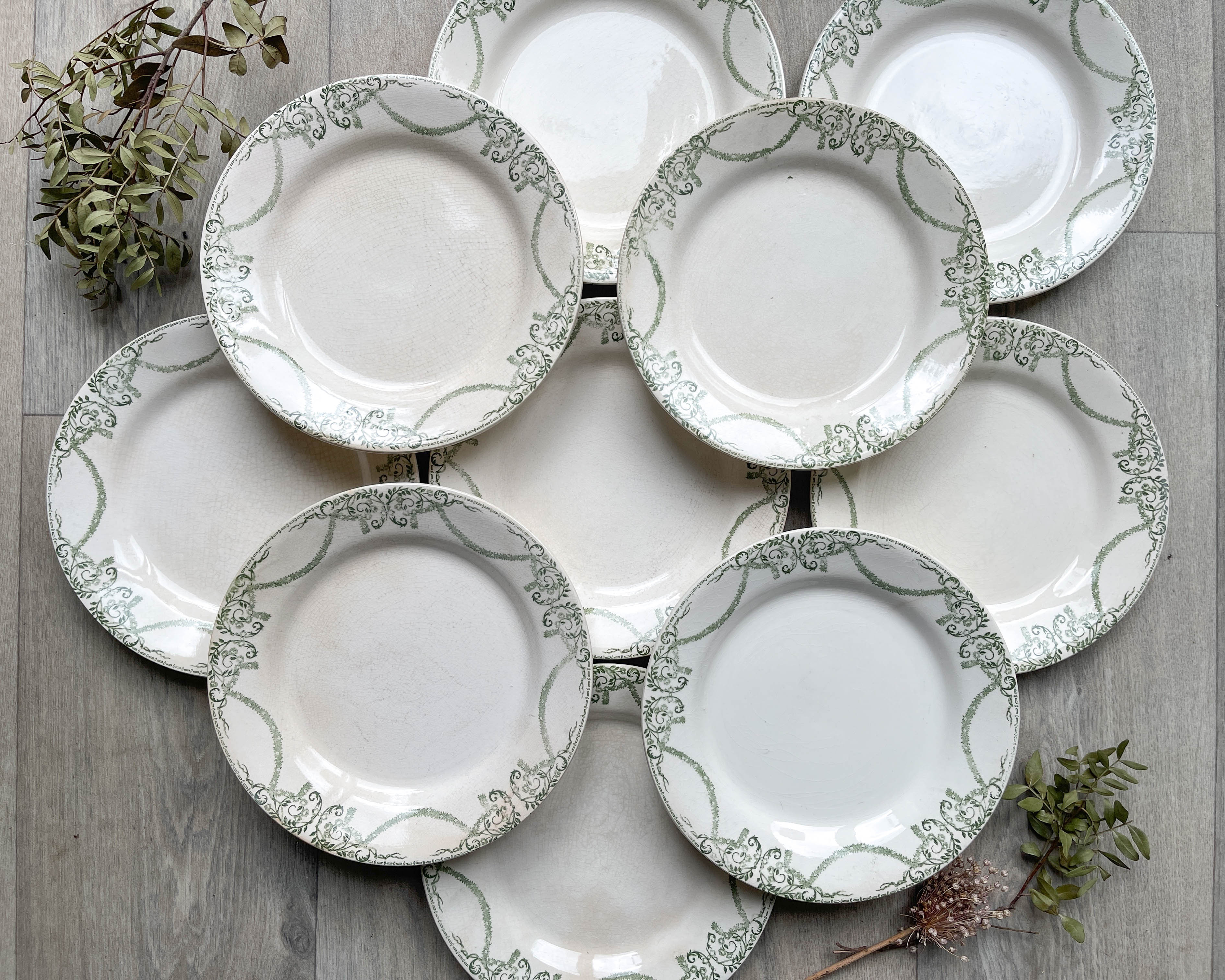 Flat plates terre de fer green creil & montereau labrador model "napoleon" 1890s