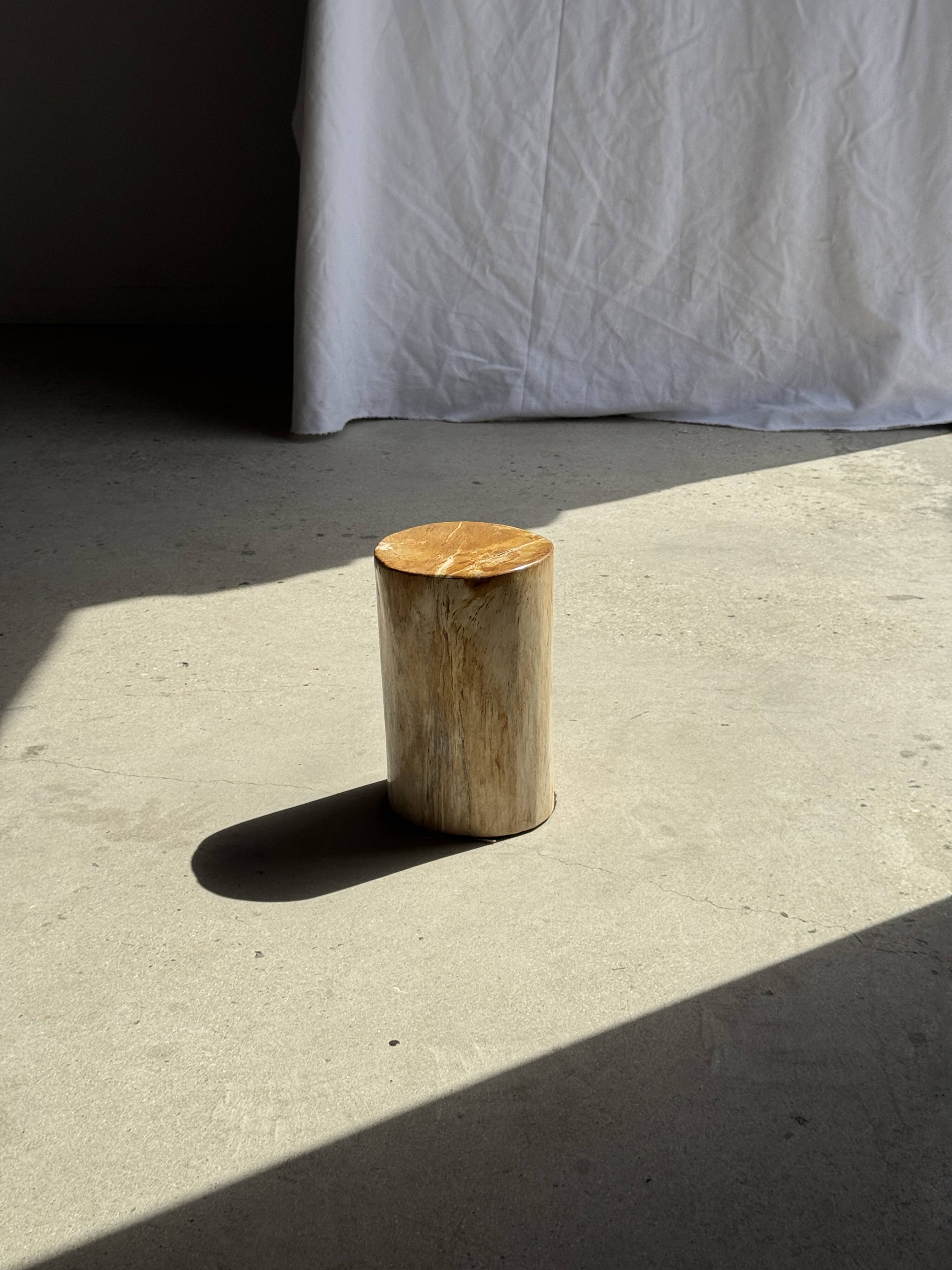 Small orange petrified wood side table H28 D18 - 3332