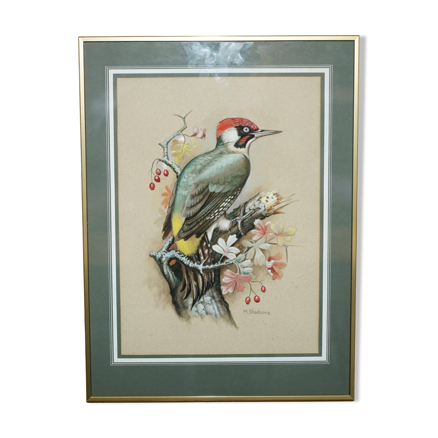 Ornithological watercolour painting signed M Shermorne kingfisher.