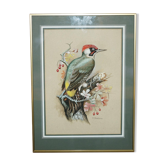 Ornithological watercolour painting signed M Shermorne kingfisher.