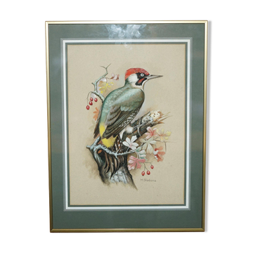 Peinture aquarelle ornithologique signée M Shermorne martin-pêcheur