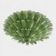 Monumental Imperial Luxury Venetian Green ” Leaves Graniglia” Murano Glass