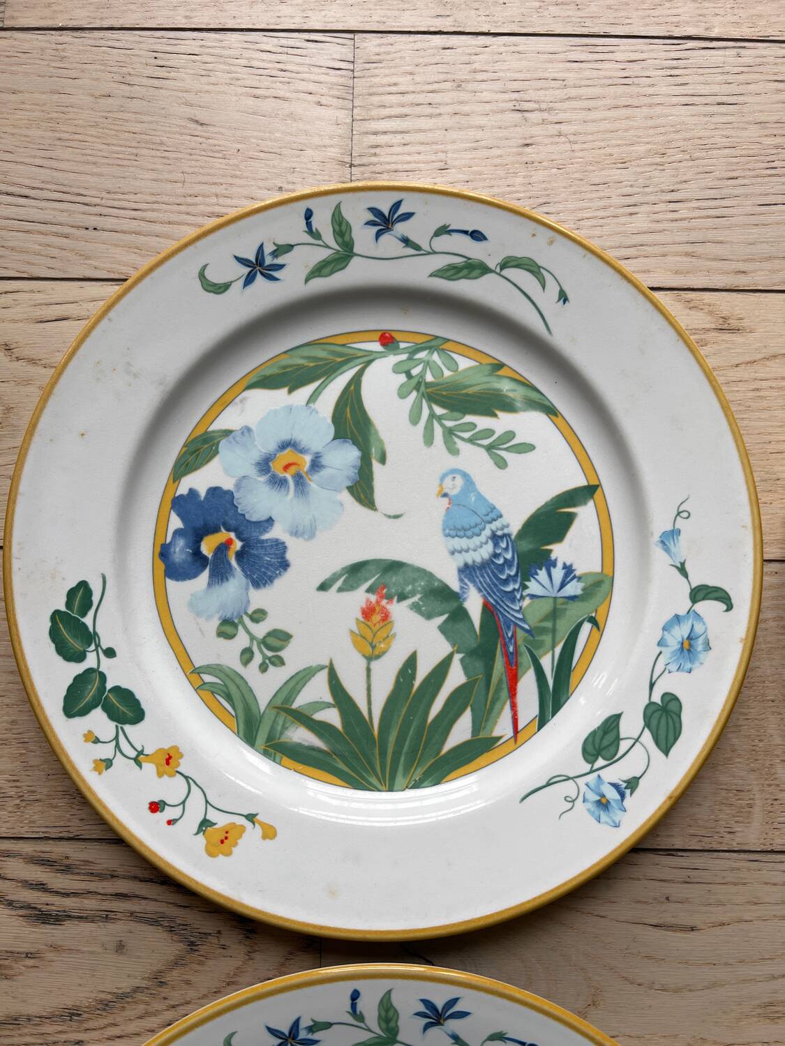 Flat plates model Ara Pier Import