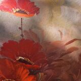 Tableau Coquelicot