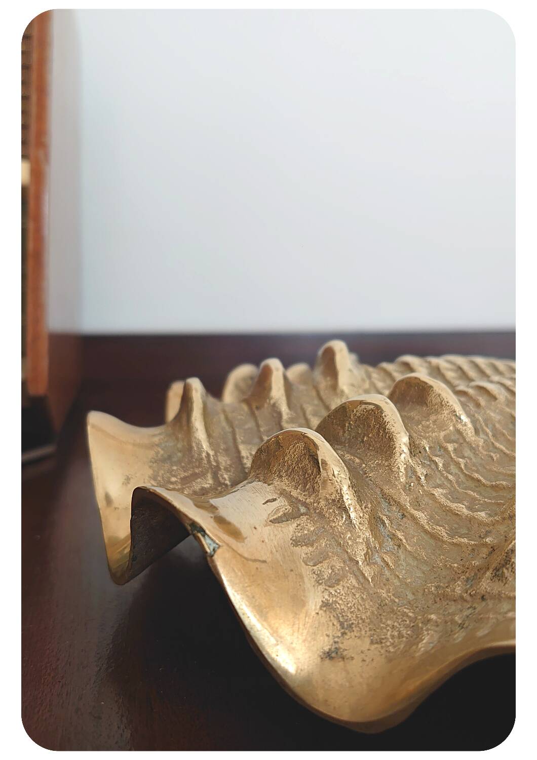 Boîte à coque en laiton moulé