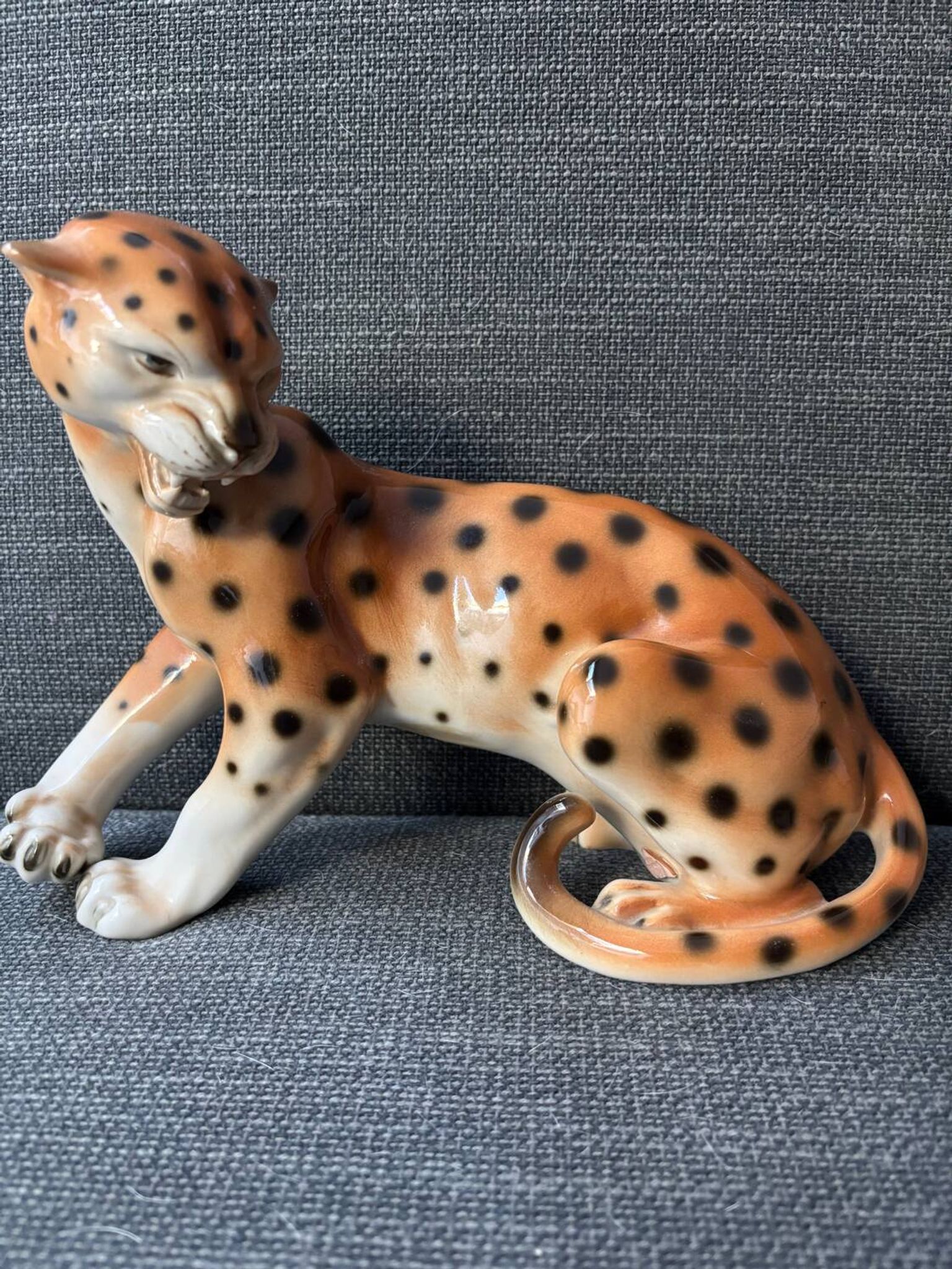 Royal Cheetah Dux