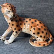 Royal Cheetah Dux