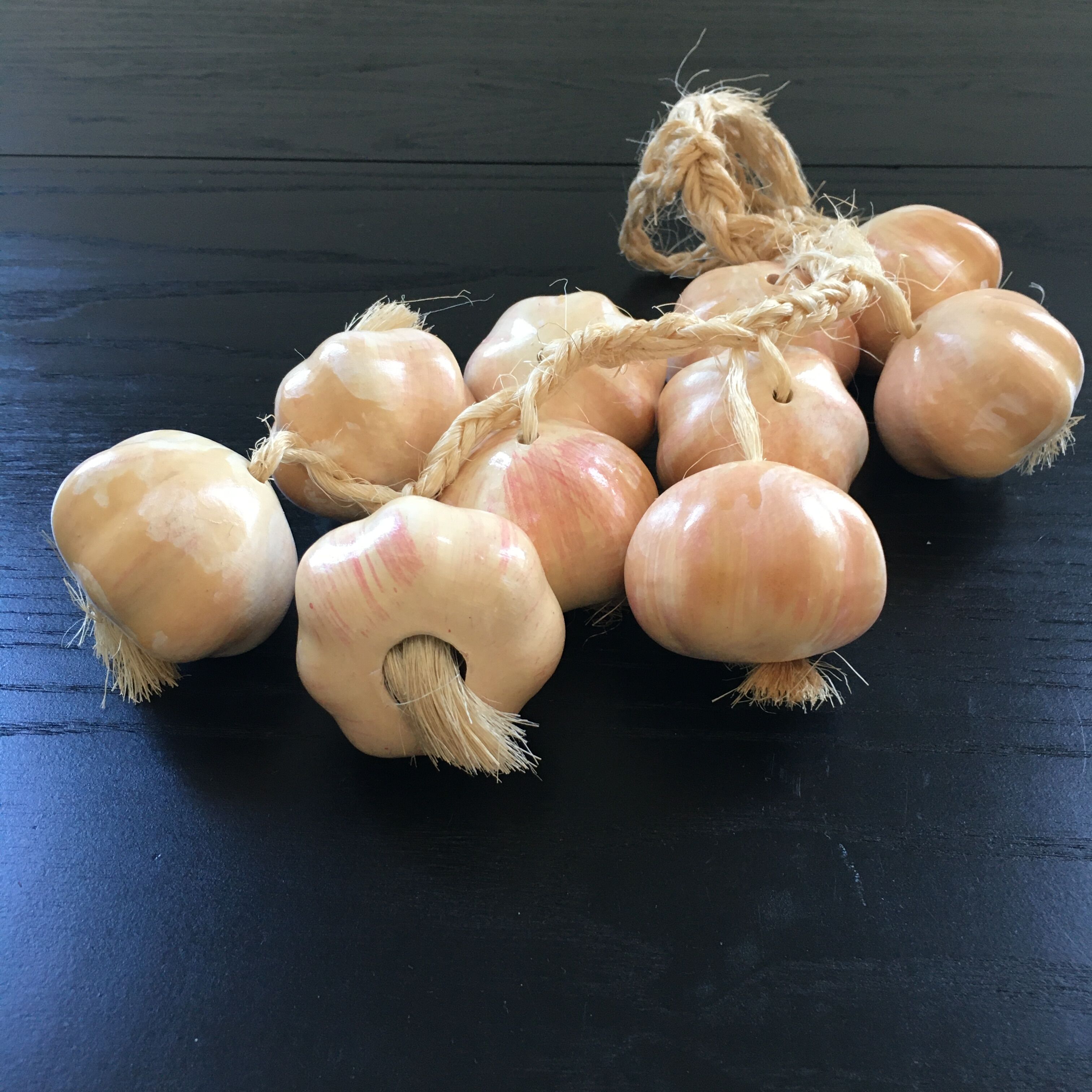 Bunch of garlic in slip