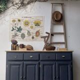 Trade furniture, apothecary furniture