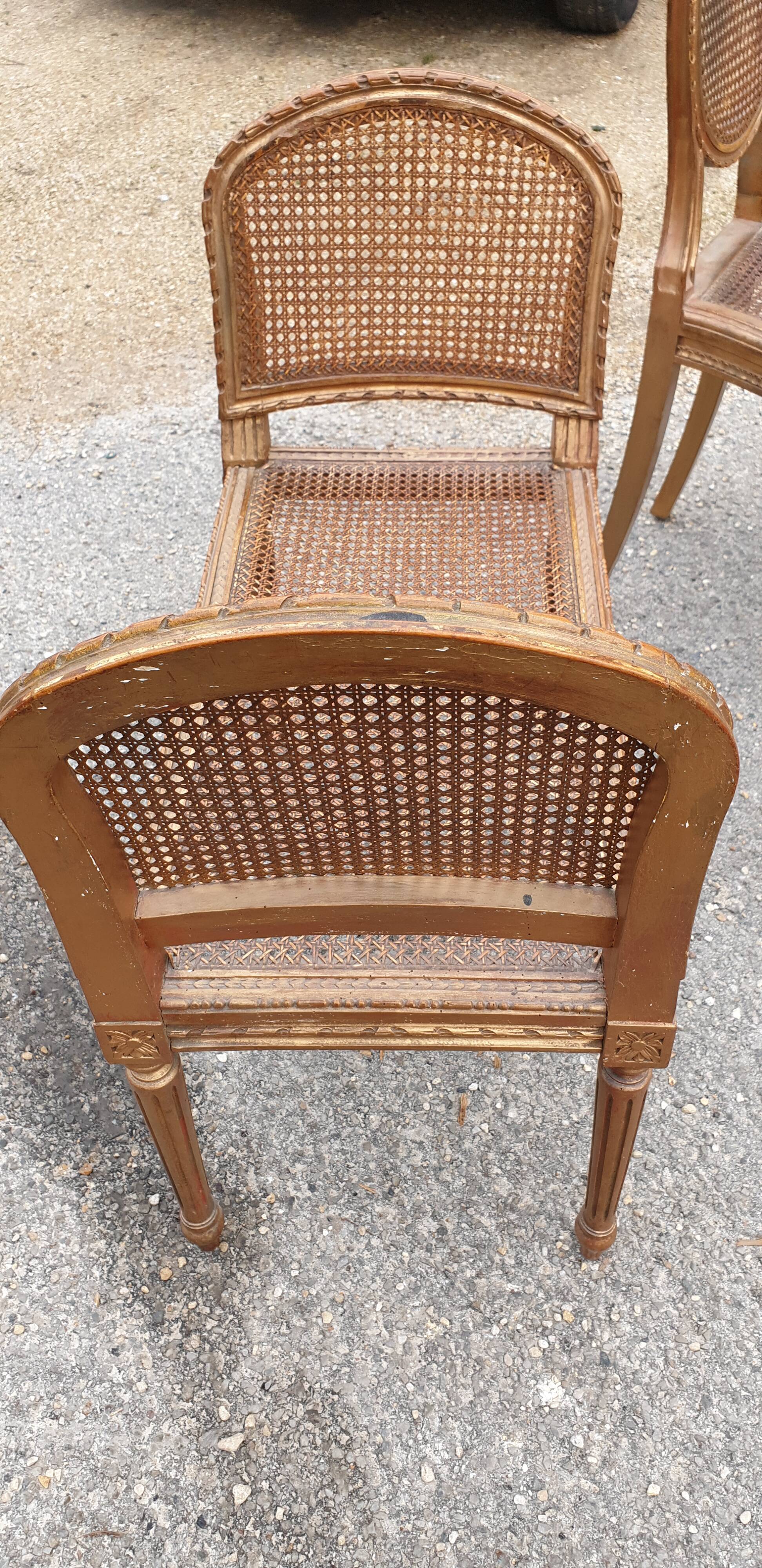 Chair and bench canned music room XIXth