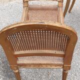 Chair and bench canned music room XIXth