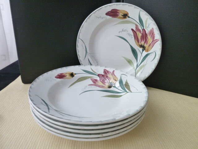Set of 6 hollow plates in Earthenware of St Amand Hamage
