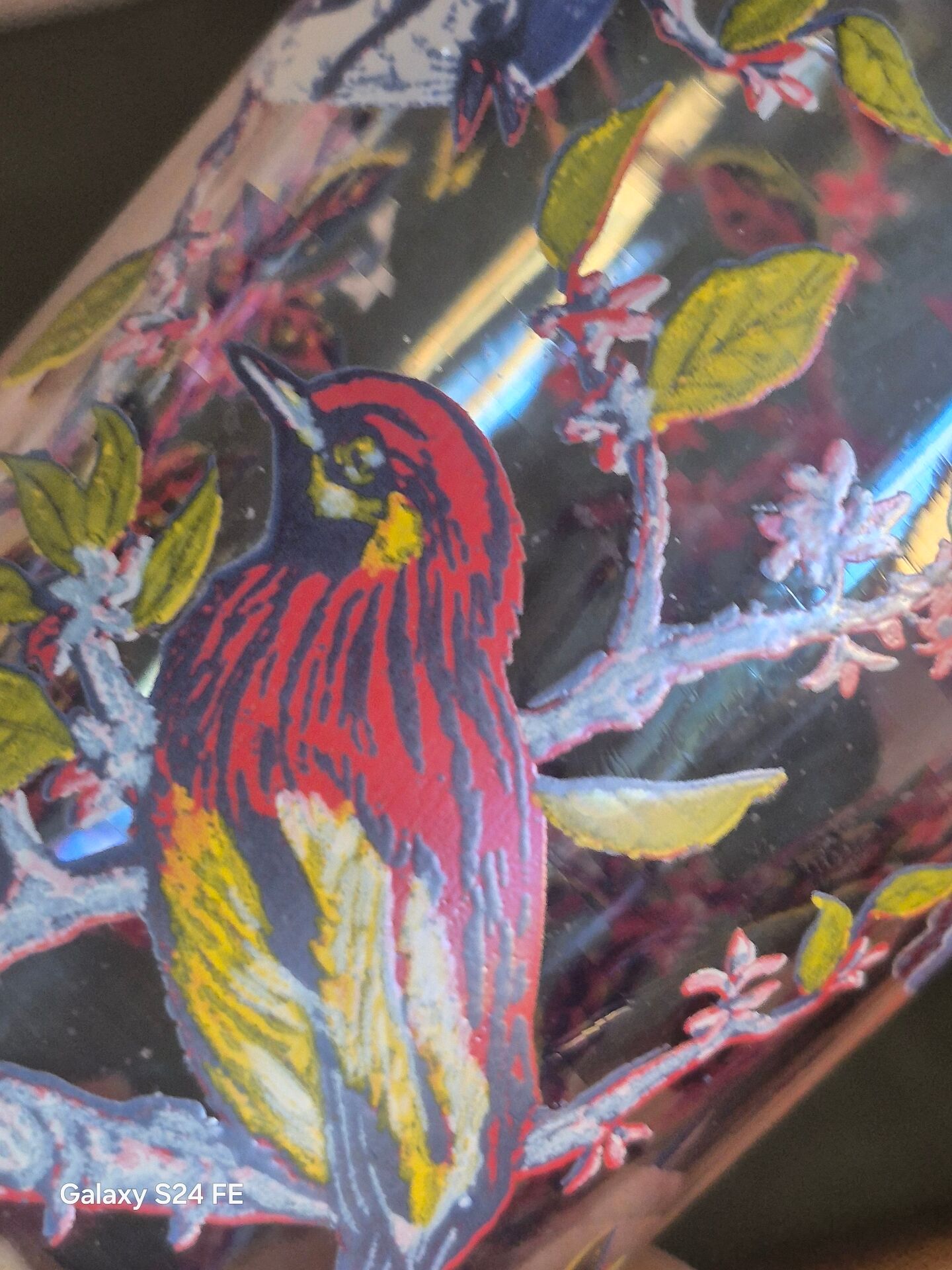Verres oiseaux