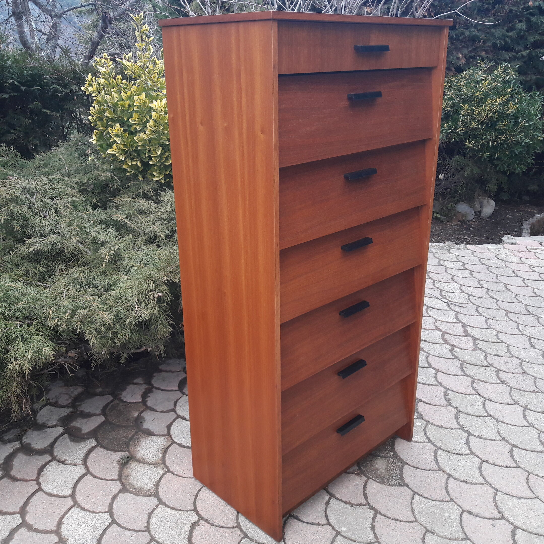 Vintage Shoe cabinet