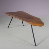 1950s Tree trunk coffee table in Aubock style from Austria