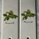 Pair of vintage Paris porcelain cleanliness plates