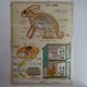 School poster on both sides anatomy insectivores and rabbit. MDI.1964