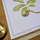 Printed in 1986, The Walnut Tree. Vintage Botanical