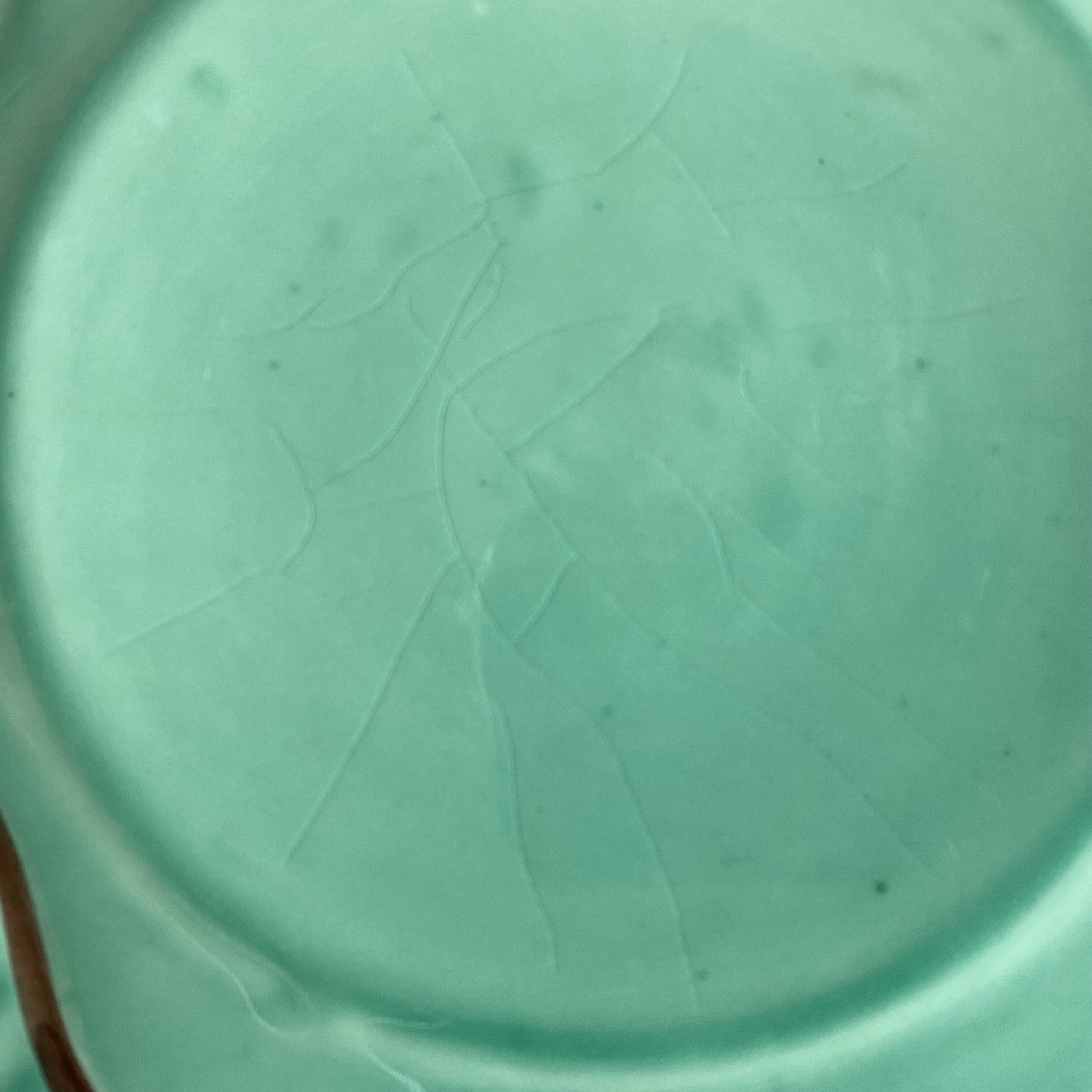 Vallauris dessert plates from the 50s and 60s