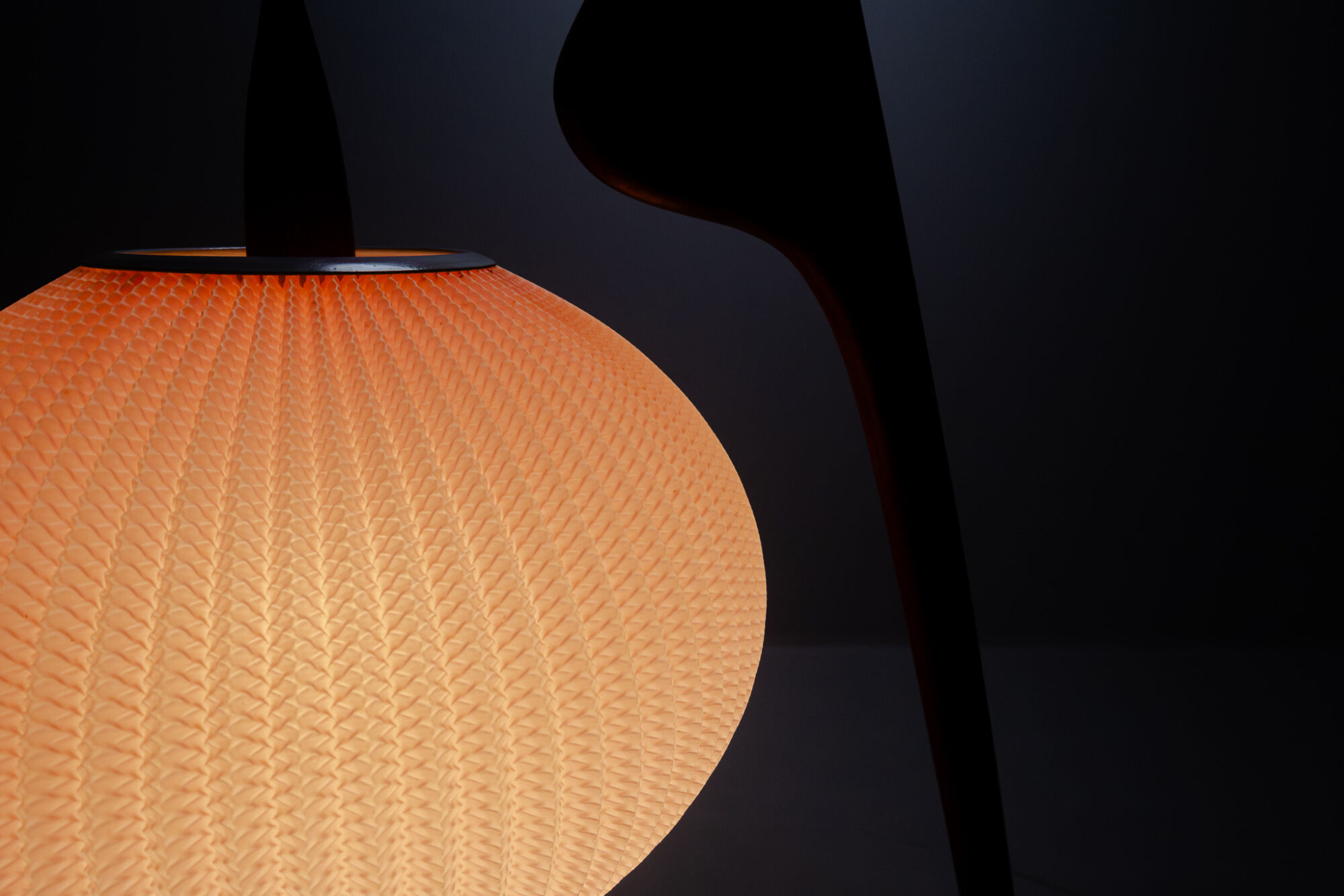 Floor lamp Praying Mantis by Rispal, France, 1950s