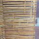 Bamboo screen year 60