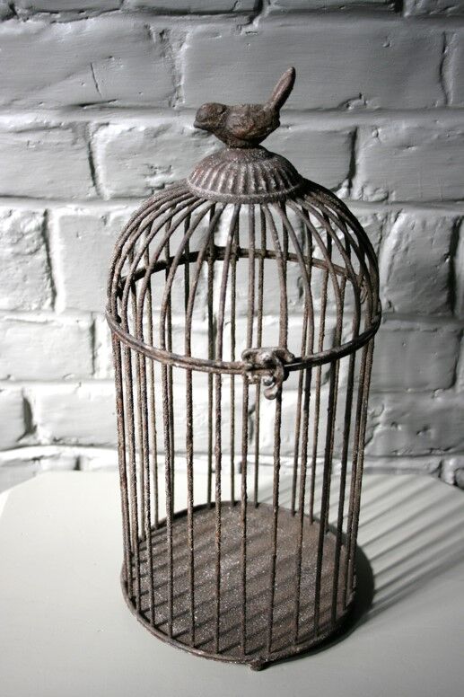 Metal bird cage