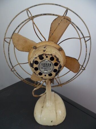 Fan Luxor
