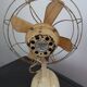 Fan Luxor
