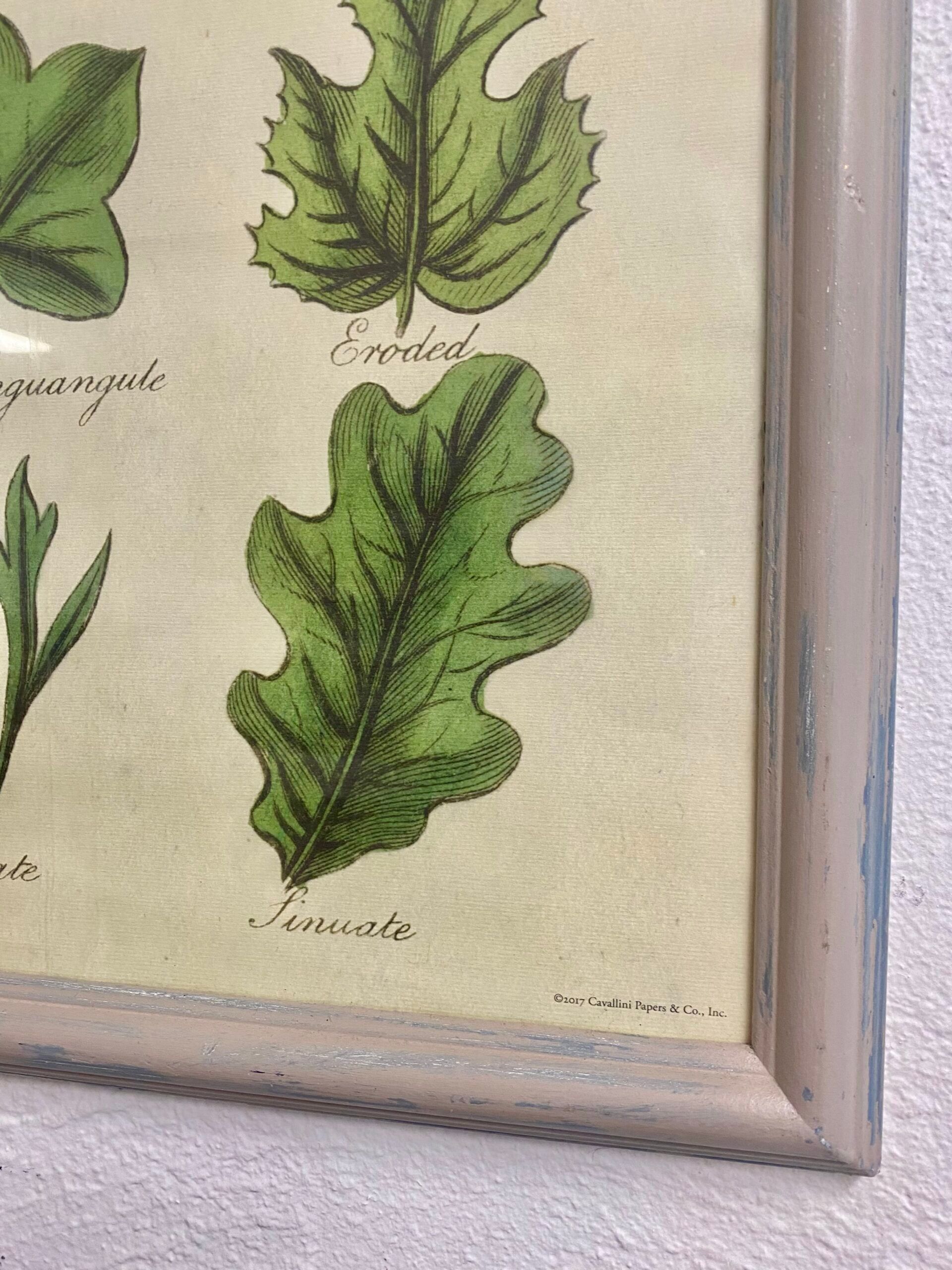 Large shabby chic botanical frame – Vintage poster leaves