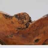 Grand bol en bois de racine organique, France, années 1950