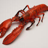Plastic lobster, circa 1970