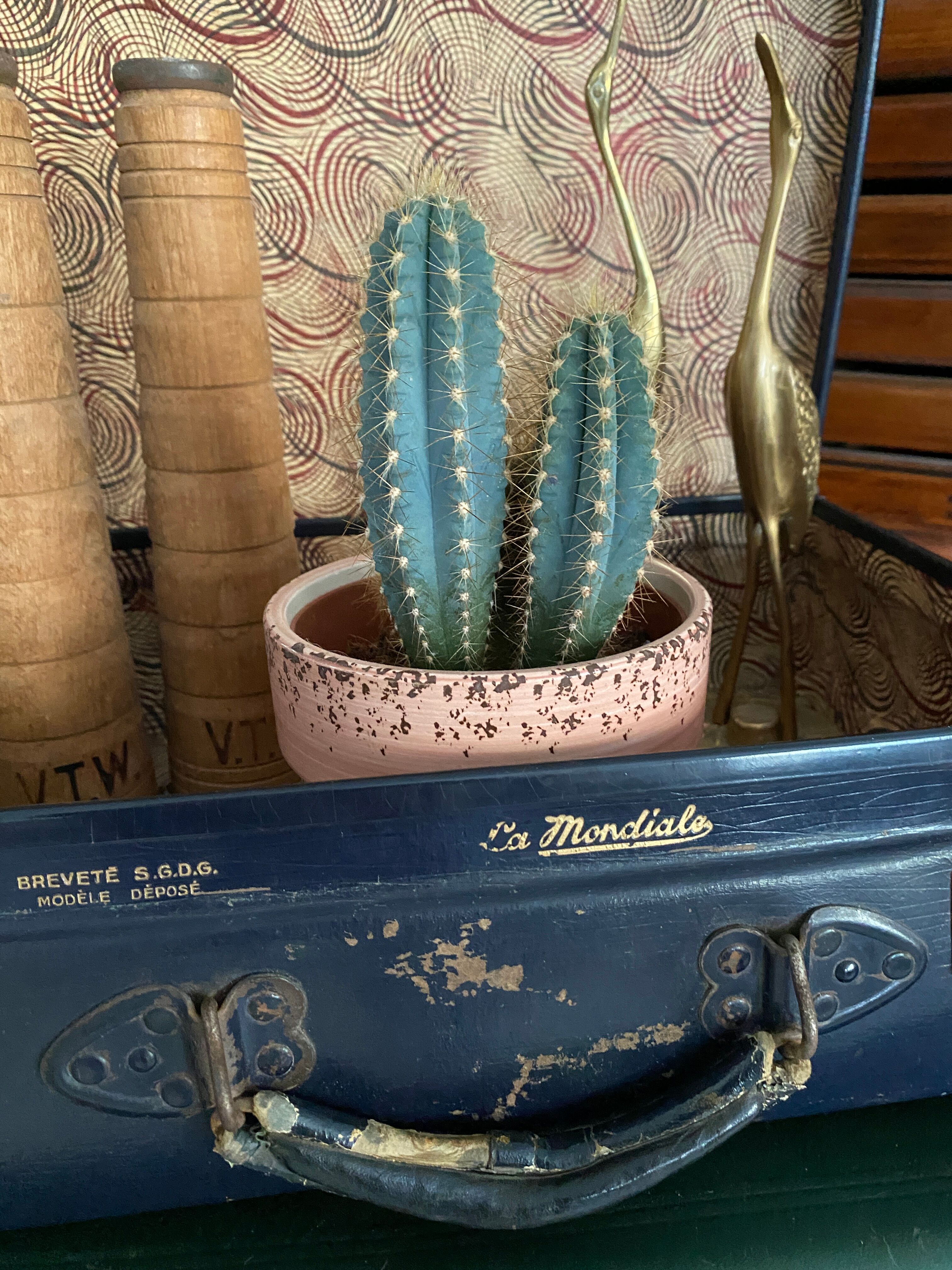 Set of 2 vintage suitcases