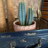 Set of 2 vintage suitcases