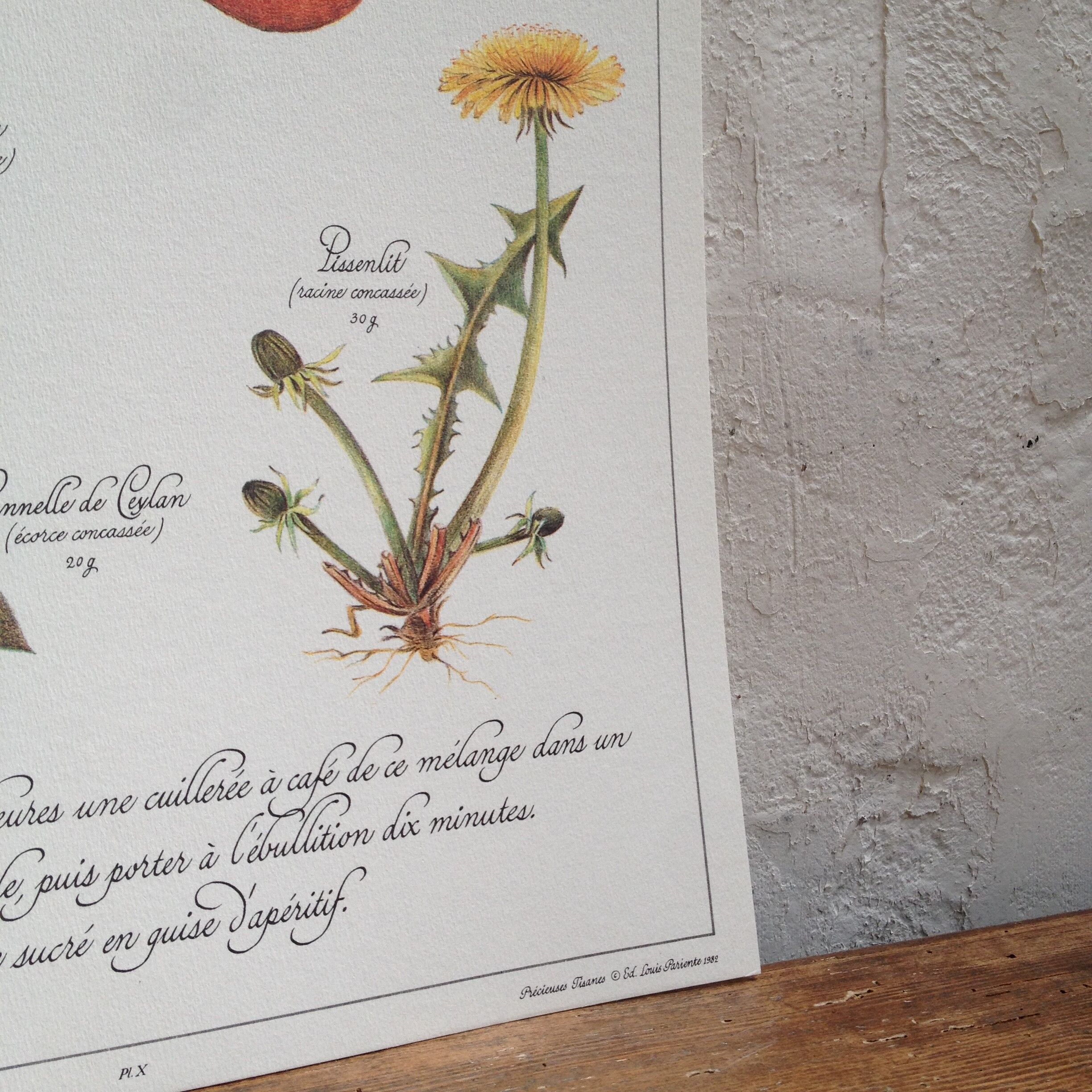 Stimulating aperitif tisane botanical board