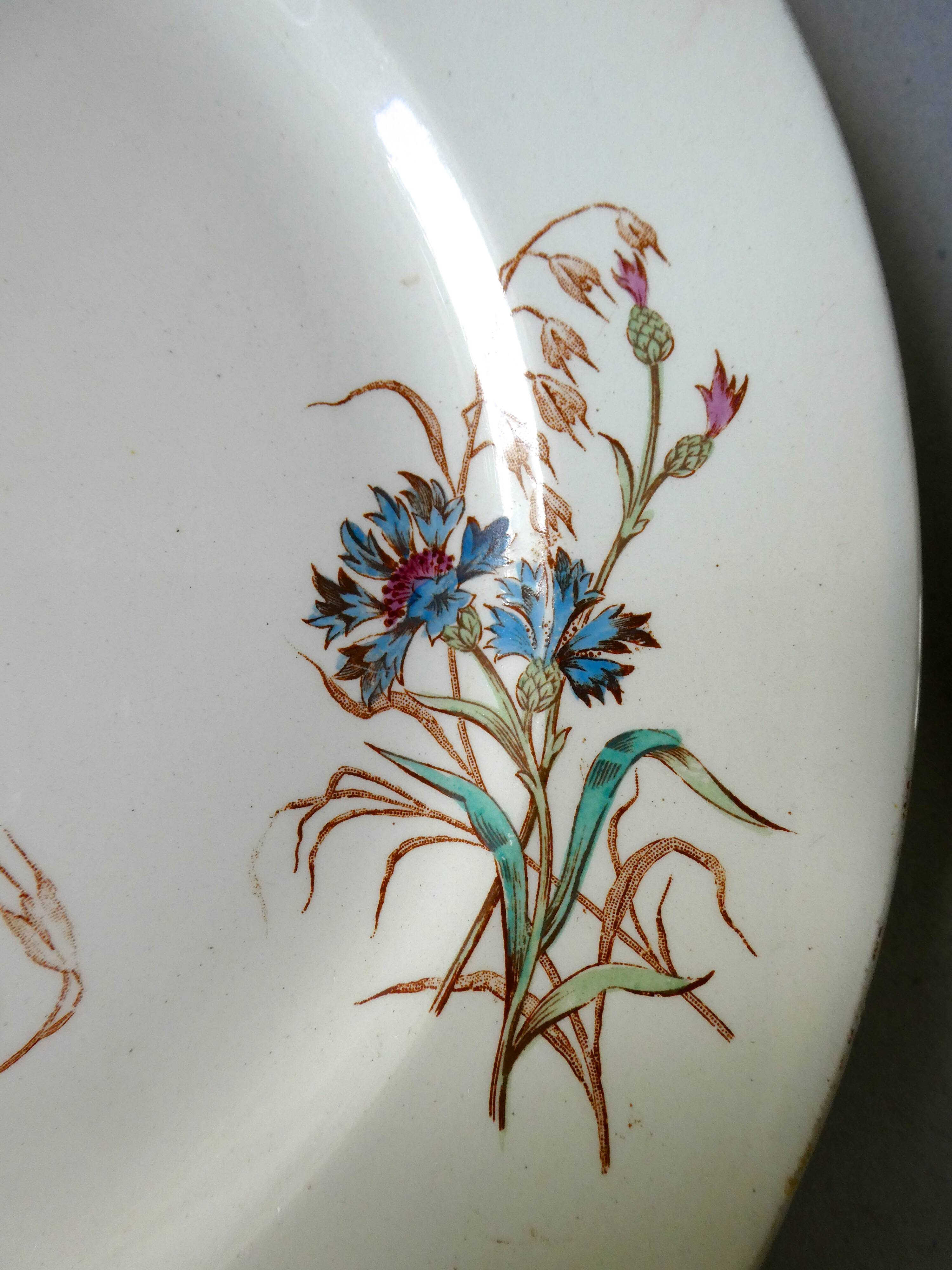 Set of 6 plates Blueberry decor Luneville France, 1900