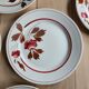 Lot 6 flat plates Touraine de Lunéville
