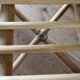 Vintage Palm Beach style rattan chair